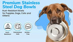 Greendale - 4 Pack - 10 Cup Capacity - Stainless Steel Metal Dog Bowls - Perfect for Dog Food and Water. Wrong Size? Click to Look at Our Size Options.