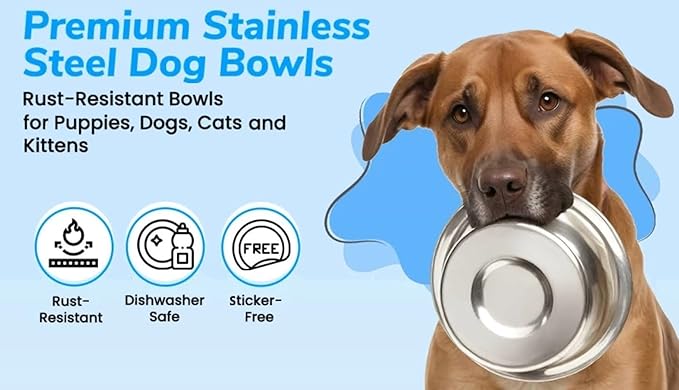 Greendale - 4 Pack - 6.75 Cup Capacity - Stainless Steel Metal Dog Bowls - Perfect for Dog Food and Water. Wrong Size? Click to Look at Our Size Options.