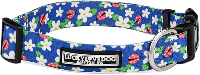 Lucky Love Dog - Adjustable Dog Collar with Easy Click Buckle for Medium, Durable, & Comfortable for Male & Female Dogs, Pet Collar for Puppies & Adult Dogs - Lilian, Medium