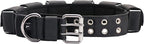 Tactical Weighted Dog Collar - Weights for Training & Exercise - Small, Medium, Large Dogs