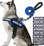 Service Dog Vest Harness and Leash Set, Animire in Training Dog Harness with 10 Dog Patches, Reflective Dog Leash with Handle for Small, Medium, Large, and Extra-Large Dogs (Blue,XL)
