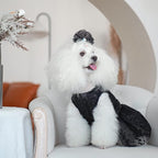 CuteBone Dog Birthday Dress Girl Puppy Skirt Tutu Cat Wedding Outfit Pet Party Clothes for Small Dogs Costume DD15L