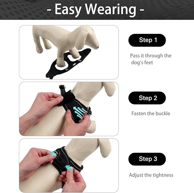 Dog Harness for Small Dogs and Leash Set, Honeycomb Grid, Reflective Lightweight Harness & Anti-Twist Pet Lead (Multi Color, Size: XS-S-M) (M, Black)
