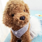 Dog Dresses, Fashion Pet Dog Clothes, Striped Mesh Puppy Dogs Princess Dresses (Blue, Small)