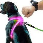 Noxgear LightHound (Large) + Wrist Light – Illuminated and Reflective Harness for Dogs Including Multicolored LED Fiber Optics (USB Rechargeable, Adjustable, Lightweight, Rainproof)