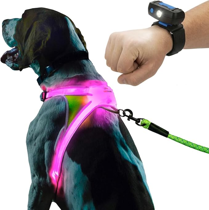 Noxgear LightHound (Small) + Wrist Light – Illuminated and Reflective Harness for Dogs Including Multicolored LED Fiber Optics (USB Rechargeable, Adjustable, Lightweight, Rainproof)