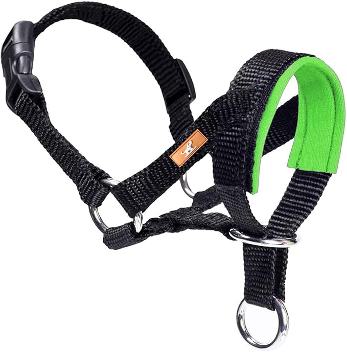 Dog Head Collar with Soft Fabric, Head Harness Stops Dog Pulling, Head Leash for Small Medium Large Dogs Walking (L,Apple Green)
