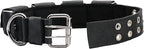 Tactical Weighted Dog Collar - Weights for Training & Exercise - Free Weights, Small, Medium, Large Dogs