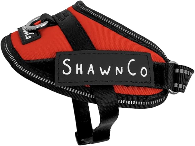 ShawnCo Essential Pro Dog Harness, No-Pull Pet Vest with 3 Leash Clips and Removable, Reflective Side Patches, Adjustable and Padded Harness for Small, Medium and Large Dogs (Mustang Red, XS)