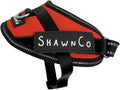 ShawnCo Essential Pro Dog Harness, No-Pull Pet Vest with 3 Leash Clips and Removable, Reflective Side Patches, Adjustable and Padded Harness for Small, Medium and Large Dogs (Mustang Red, XS)
