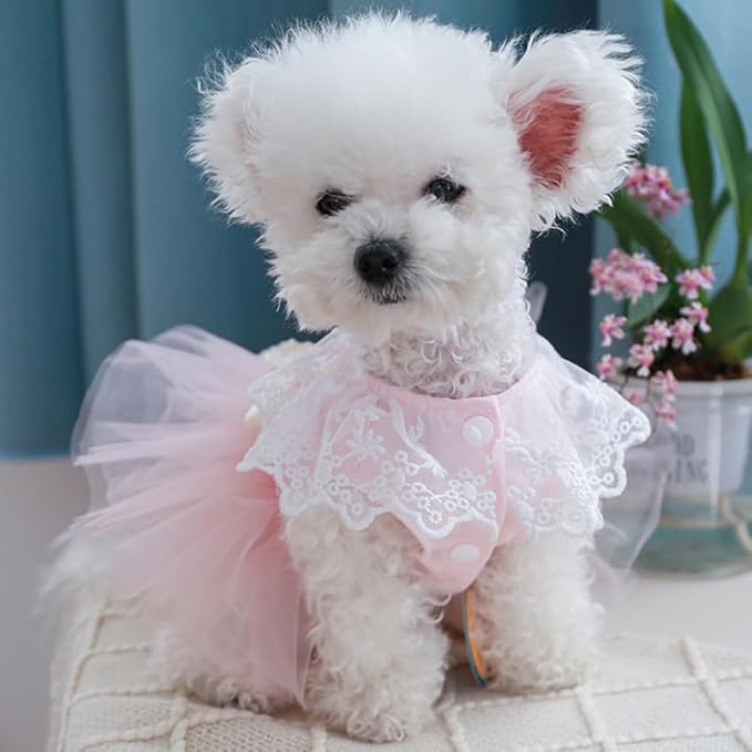 Furbabycare® Elegant Sweet Fashion Puppy Dog Blingbling Princess Skirt Pet Dog Lace Cake Camisole Tutu Dress I-Pink-1 X-Small
