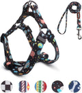 QQPETS Dog Harness Leash Set Adjustable Heavy Duty No Pull Halter Harnesses for Small Medium Large Breed Dogs Back Clip Anti-Twist Perfect for Walking (L(23"-32" Chest Girth), Space)