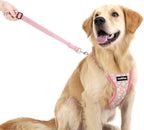 Dog Seat Belt, Safety Vest Dog Car Harness with Adjustable Buckle Dog Seat Belt for Vehicle Nylon Pet Safety Seat Belts Heavy Duty(L, Pink Daisy)