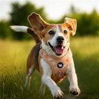 Haminway No-Pull Dog Harness for Medium Dogs – Reflective, Breathable Vest with Adjustable Chest & Neck Straps – Easy to Wear, Anti-Choke Harness for Safer Walks (Orange, Size Medium)