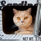 Sardine Cardboard Cat Scratcher, 60 x 30 x 30 cm, White