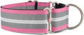 If It Barks - 1.5" Martingale Collar for Dogs - Adjustable - Nylon - Strong and Comfy - Ideal for Training - Made in USA - Custom, Spunky