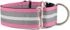 If It Barks - 1.5" Martingale Collar for Dogs - Adjustable - Nylon - Strong and Comfy - Ideal for Training - Made in USA - Custom, Spunky
