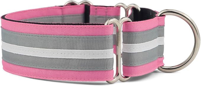 If It Barks - 1.5" Martingale Collar for Dogs - Adjustable - Nylon - Strong and Comfy - Ideal for Training - Made in USA - Custom, Spunky