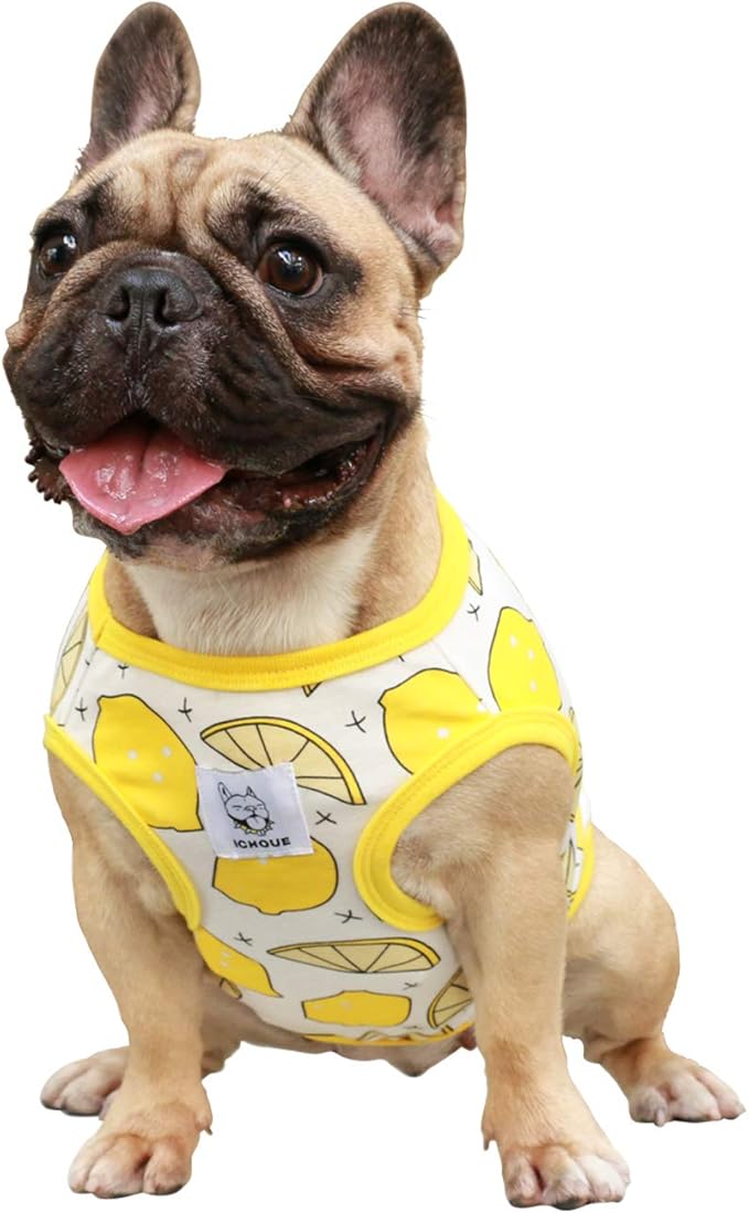 iChoue 100% Breathable Cotton English Bulldog Halloween Cartoon T Shirts Cute Clothes for Medium Large Dogs Vest Tank Tops Terrier Pitbull Lemon - XLarge