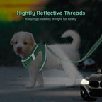 BELLA & PAL Step in Vest Harness for Small and Medium Dogs, No Pull Small Dog Harness with Leash Set, Comfortable Air Mesh Dog Vest Harness with Reflective Strip (Emerald, L)