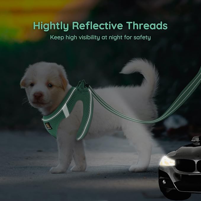 BELLA & PAL Step in Vest Harness for Small and Medium Dogs, No Pull Small Dog Harness with Leash Set, Comfortable Air Mesh Dog Vest Harness with Reflective Strip (Emerald, XXS)