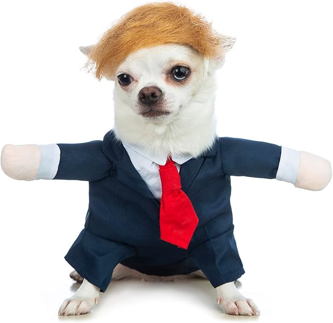 Dog Suit Costume Pet Wedding Shirt with Wig Funny Dog Suit and Tie for Small Medium Dog Cat Wedding Party Formal Gentleman Clothes (2XL)