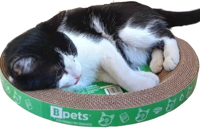 B Kitty Scratcher Cat Bed, Fun for Your Purr-FECT Feline (Round)