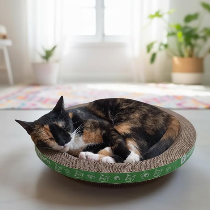B Kitty Scratcher Cat Bed, Fun for Your Purr-FECT Feline (Round)
