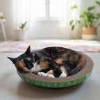 B Kitty Scratcher Cat Bed, Fun for Your Purr-FECT Feline (Round)