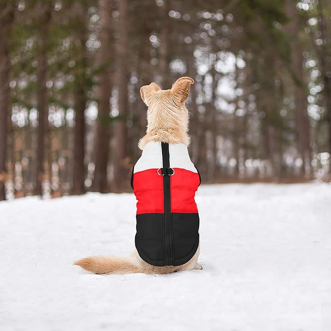 Idepet Pet Dog Cat Coat with Leash Anchor Color Patchwork Padded Puppy Vest Jacket Teddy Chihuahua Costumes Pug Cloth XS S M L (X-Small (Pack of 1), Black)
