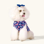 CuteBone 4th of July Dog Shirts 2-Pack Soft Pet Clothes Breathable Summer Vest for Small Puppy and Stretchy Cat Apparel 2BX13S