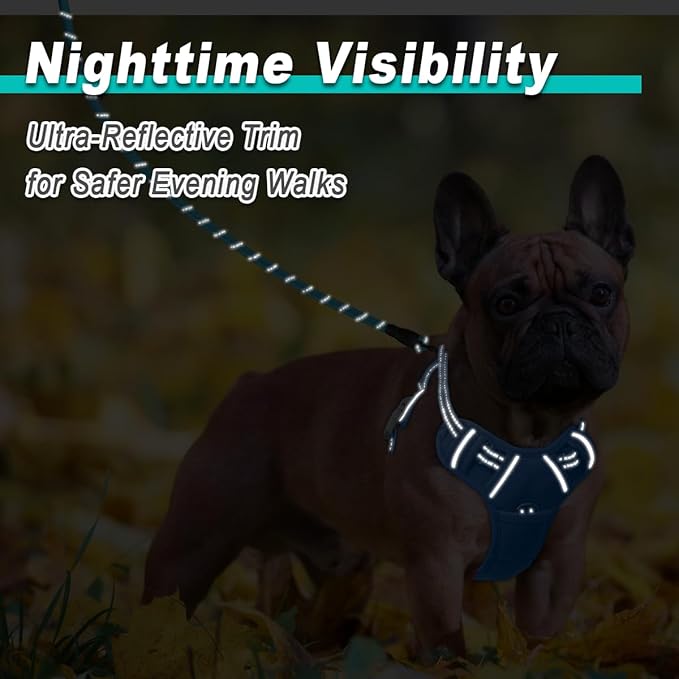 BARKBAY Dog Harness No Pull Mesh for Small Dogs - Adjustable, Reflective, Comfortable, No Choke, Heavy-Duty - Perfect for Outdoor Training, Walking, and Hiking - Strong & Durable - XS & Blue Mesh