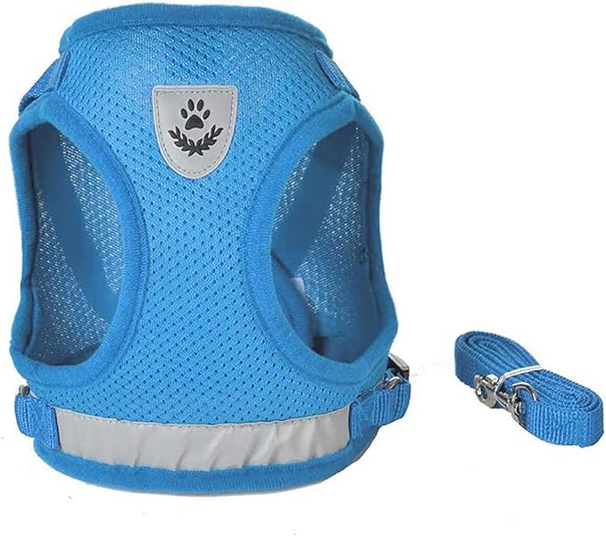 FEimaX Dog Harness and Leash Set for Walking, Soft Mesh Adjustable Easy Control Lightweight Cat Vest Harnesses with Reflective Strips, Escape Proof Small Dogs Cats Vests (Azure, Small)
