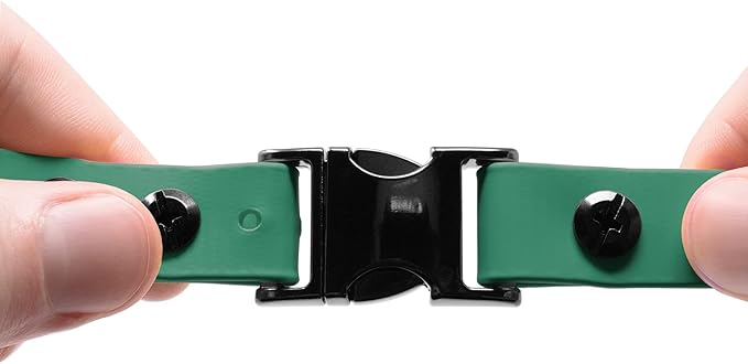 Educator 3/4-Inch Dog Training Collar Strap–ONLY Fits ME-300, ET-300/400, EZ-900, PE-900 & PG-300 Receivers – NOT Compatible with FE-580, ET-800 or UL-1200–Quick Snap Biothane Bungee Collar, Green