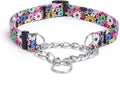 Martingale Dog Collar - Stainless Steel Chain, No Pull Training Collar with Flower Design for Large Medium Small Dogs (S, Fireworks)