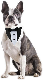 Dog Tuxedo for Large Dogs, Tux Suit Dog Wedding Outfit Bandana with Bow Tie Collars for Small Medium Large Pet Dogs, Black L