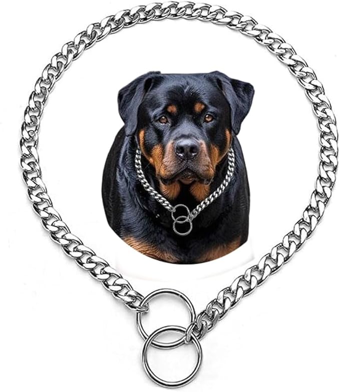 Choke Collar for Dogs Large Breed, Dog Chain Collars Slip P Chain Choke Metal Link Training Heavy Duty Martingale Dog Collar for Xs Small Medium Large Big XL Breed Dogs, XL