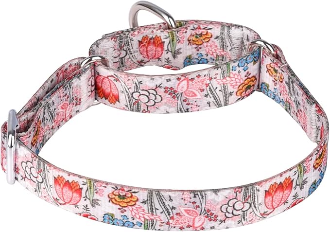 Serijoars Adjustable Martingale Dog Collar Heavy Duty Nylon Dog Collar for Medium Large Dogs Walking Training Boy and Girl Dogs (M, White)