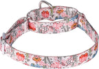 Serijoars Adjustable Martingale Dog Collar Heavy Duty Nylon Dog Collar for Medium Large Dogs Walking Training Boy and Girl Dogs (M, White)