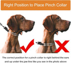 CBBPET Dog Prong Collar, Adjustable Dog Training Collar with Quick Release Buckle for Small Medium Large Dogs
