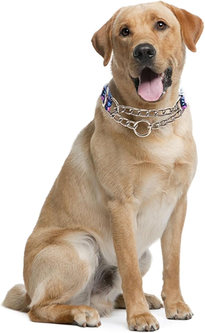 Stainless Steel Chain Dog Martingale Collar, No Pull Slip Cinch Choker Choke Collar Training Escape Proof Heavy Duty Dog Collar for Small Medium Large Pet Girl Female Dogs, Purple Floral XL