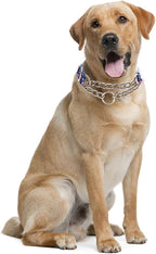 Stainless Steel Chain Dog Martingale Collar, No Pull Slip Cinch Choker Choke Collar Training Escape Proof Heavy Duty Dog Collar for Small Medium Large Pet Girl Female Dogs, Purple Floral M