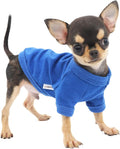 LOPHIPETS 100% Cotton Dog Tee Shirt for Small Dogs Teacup Chihuahua Yorkie Puppy Clothes-Blue/XXS