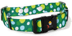 Electric Dog Fence Replacement Dog Collar Strap | Large 18" - 27" | Mint Green | Compatible w/Invisible Fence, eXtreme Dog Fence, Dogtra, DOGTEK, Perimeter Technologies