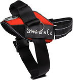 ShawnCo Essential Pro Dog Harness, No-Pull Pet Vest with 3 Leash Clips and Removable, Reflective Side Patches, Adjustable and Padded Harness for Small, Medium and Large Dogs (Mustang Red, S)