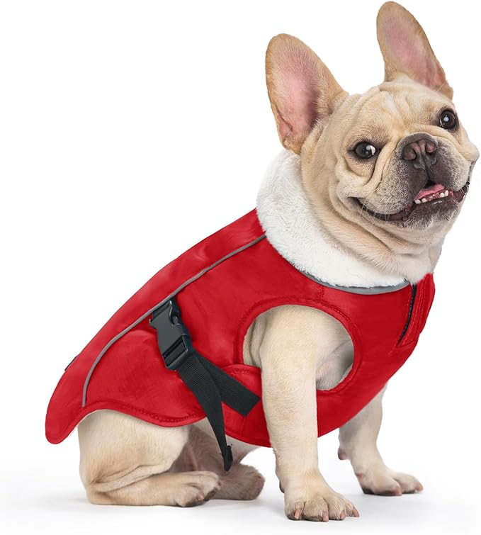 EMUST Winter Dog Jacket, Windproof Dog Apparel for Cold Weather, Reflective Coats for Dogs, Warm Puppy Jacket for Cold Winter, Red S