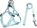 QQPETS Dog Harness Leash Set Adjustable Heavy Duty No Pull Halter Harnesses for Small Medium Large Breed Dogs Back Clip Anti-Twist Perfect for Walking