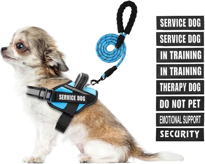 Service Dog Vest Harness and Leash Set, Animire in Training Dog Harness with 10 Dog Patches, Reflective Dog Leash with Soft Padded Handle for Dogs (Light Blue,Xs)