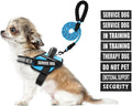 Service Dog Vest Harness and Leash Set, Animire in Training Dog Harness with 10 Dog Patches, Reflective Dog Leash with Soft Padded Handle for Dogs (Light Blue,Xs)