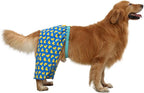 HDE Dog Swim Trunks Hawaiian Board Shorts Beach Pool Swimsuit for XS to XXL Dogs Rubber Ducks - XL